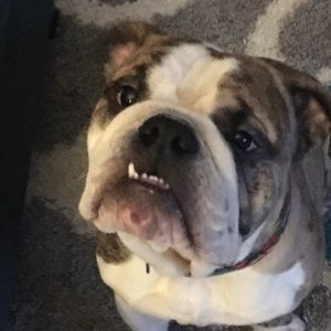 Meet your Posher, Sean